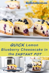 lemom cheesecake with blueberries