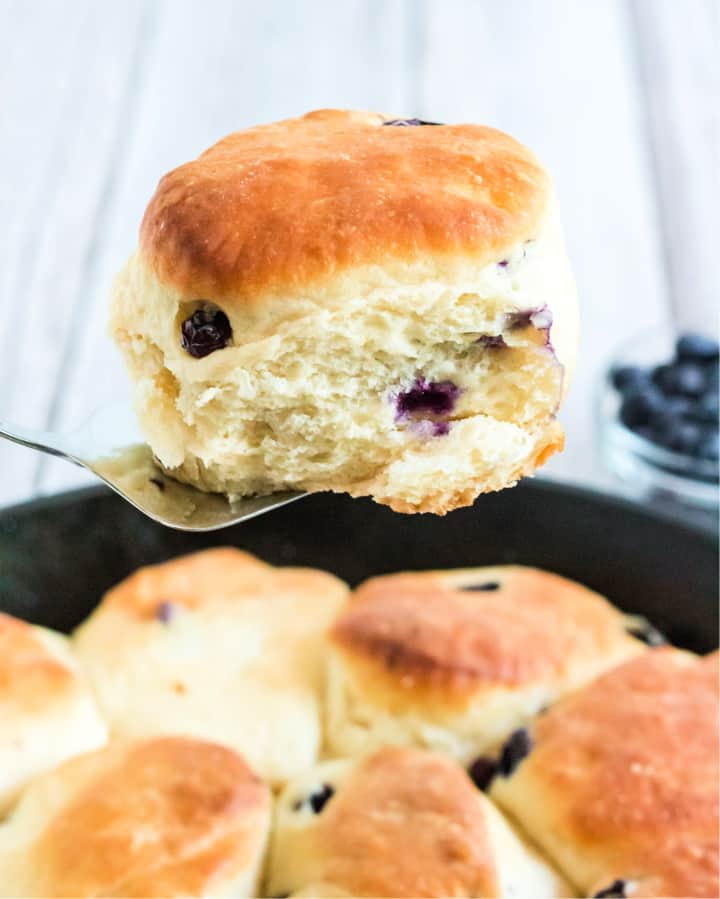 Homemade Buttermilk Blueberry Biscuits