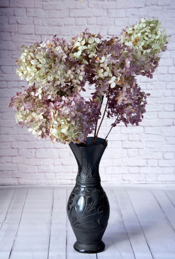 dried pink hydrangeas