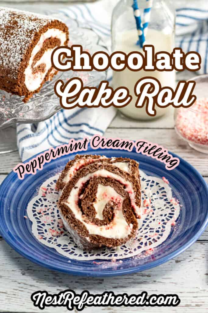 chocolate cake roll slice on blue plate