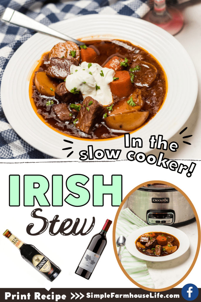 irish stew pin with bowl of stew and stew in crockpot