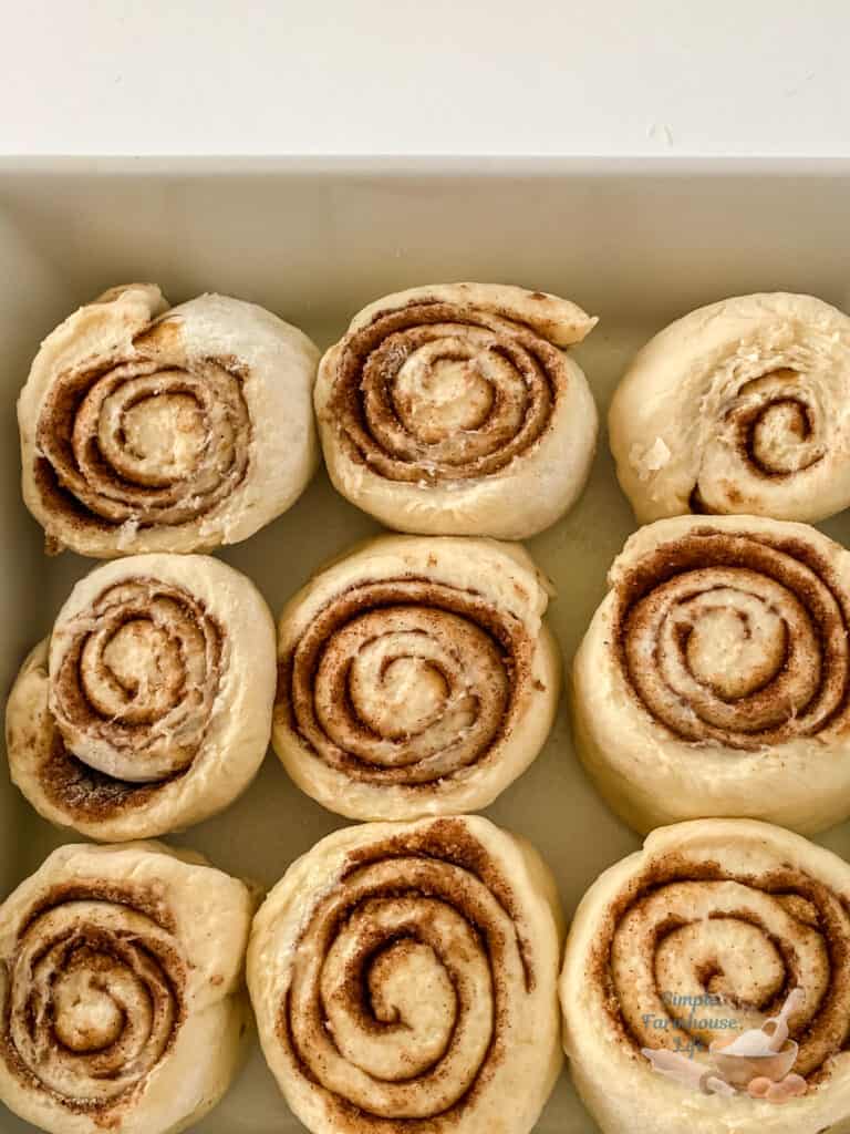 cinnamon rolls in pan ready to bake