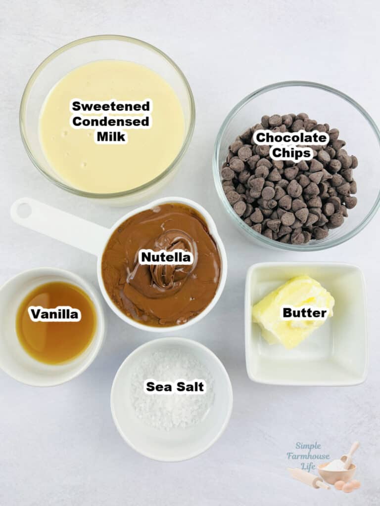 nutella fudge ingredients
