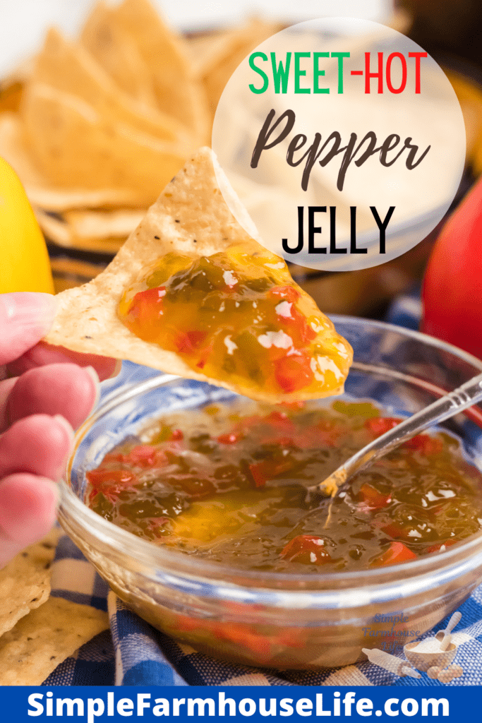 sweet hot pepper jelly in a bowl and on a nacho chip